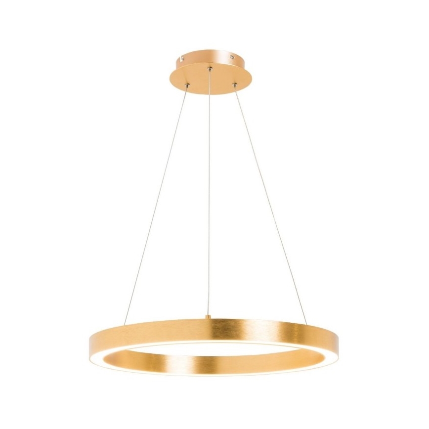 Zuma Line - LED Πολύφωτο κρεμαστό 1xLED/40W/230V δ. 50 cm χρυσό