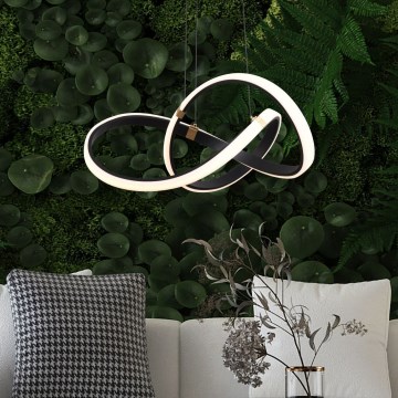 Zuma Line - Ρυθμιζόμενο LED φωτιστικό οροφής με καλώδιο LED/44W/230V μαύρο/χρυσό