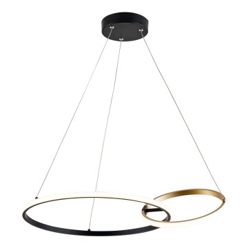 Zuma Line -  Κρεμαστό φωτιστικό οροφής LED LED/36W/230V 3000/4000/6000K χρυσαφί