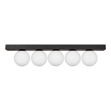 Zuma Line - Φωτιστικό οροφής 5xG9/8W/230V μαύρο