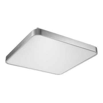 Zuma Line - Φωτιστικό οροφής LED LED/60W/230V γυαλιστερό χρώμιο