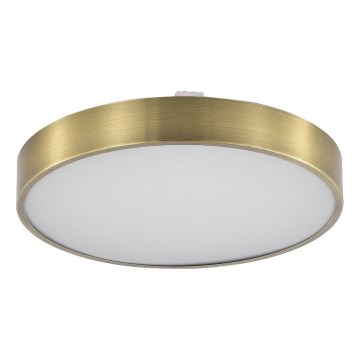 Zuma Line - Φωτιστικό οροφής μπάνιου dimming LED LED/50W/230V 3000-6000K διάμετρος 50 cm IP44 ορείχαλκος + τηλεχειριστήριο