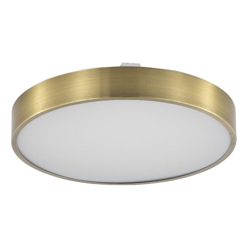 Zuma Line - Φωτιστικό οροφής μπάνιου dimming LED LED/50W/230V 3000-6000K διάμετρος 50 cm IP44 ορείχαλκος + τηλεχειριστήριο