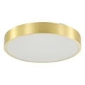 Zuma Line - Φωτιστικό οροφής μπάνιου dimming LED LED/50W/230V 3000-6000K διάμετρος 50 cm IP44 χρυσό + τηλεχειριστήριο