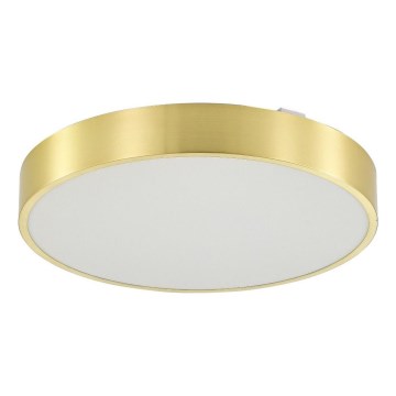 Zuma Line - Φωτιστικό οροφής μπάνιου dimming LED LED/50W/230V 3000-6000K διάμετρος 50 cm IP44 χρυσό + τηλεχειριστήριο