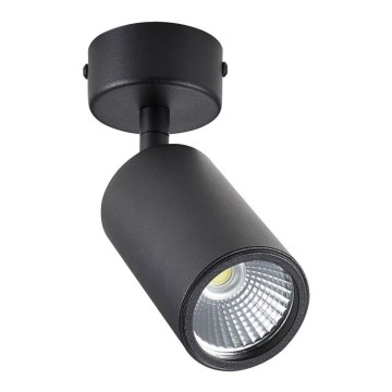 Zuma Line - Φωτιστικό σποτ 1xGU10/50W/230V μαύρο