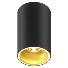 Zuma Line - Φωτιστικό σποτ 1xGU10/50W/230V μαύρο/χρυσαφί