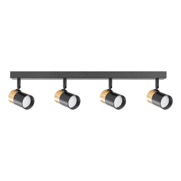 Zuma Line - Φωτιστικό σποτ 4xGU10/50W/230V μαύρο/χρυσό