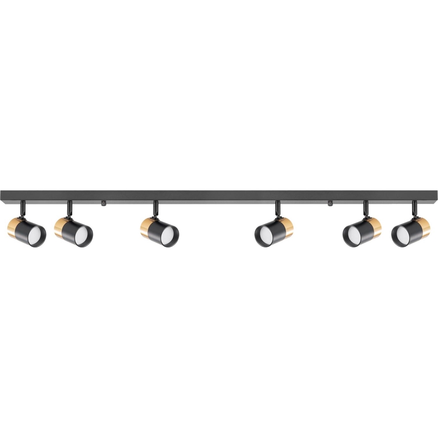 Zuma Line - Φωτιστικό σποτ 6xGU10/50W/230V μαύρο/χρυσό