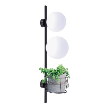 Zuma Line - Φωτιστικό τοίχου 1xE27/40W/230V + 1xE14/40W μαύρο