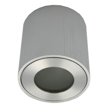 Εξωτερικό φωτιστικό σποτ FARA 1xGU10/30W/230V IP54 ασημί