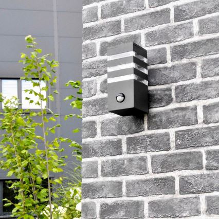 Εξωτερικό επιτοίχιο φωτιστικό με αισθητήρα TEKSAS 1xE27/12W/230V IP44 ανθρακί