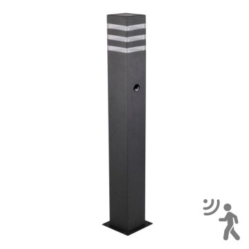 Εξωτερικό φωτιστικό με αισθητήρα TEKSAS 1xE27/12W/230V IP44 74 εκ. ανθρακί
