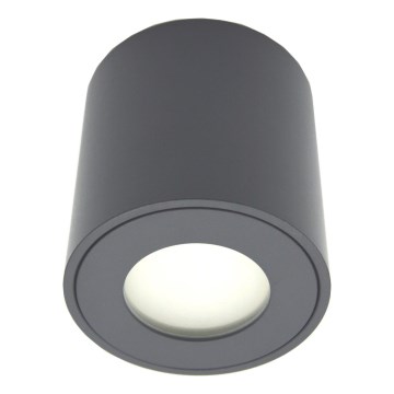 Εξωτερικό σποτ φωτιστικό FARA 1xGU10/30W/230V IP54 μαύρο