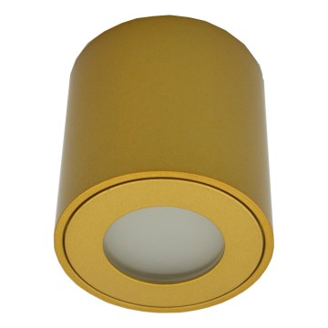 Εξωτερικό σποτ φωτιστικό FARA 1xGU10/30W/230V IP54 χρυσό