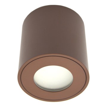 Εξωτερικό σποτ φωτισμού FARA 1xGU10/30W/230V IP54, καφέ