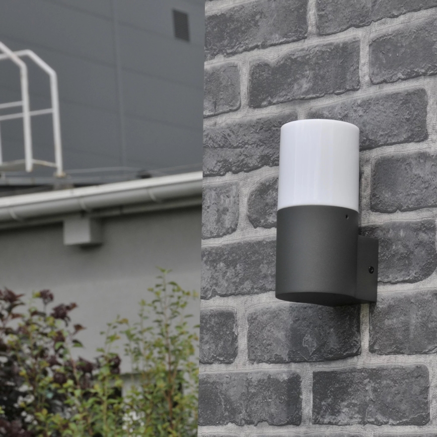 Εξωτερικό επιτοίχιο φωτιστικό DALLAS 1xE27/12W/230V IP44 ανθρακί