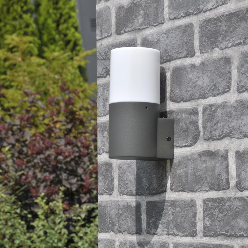 Εξωτερικό επιτοίχιο φωτιστικό DALLAS 1xE27/12W/230V IP44 ανθρακί