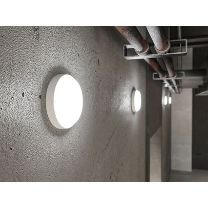 Εξωτερικό επιτοίχιο φωτιστικό LED/9W/230V IP54 λευκό