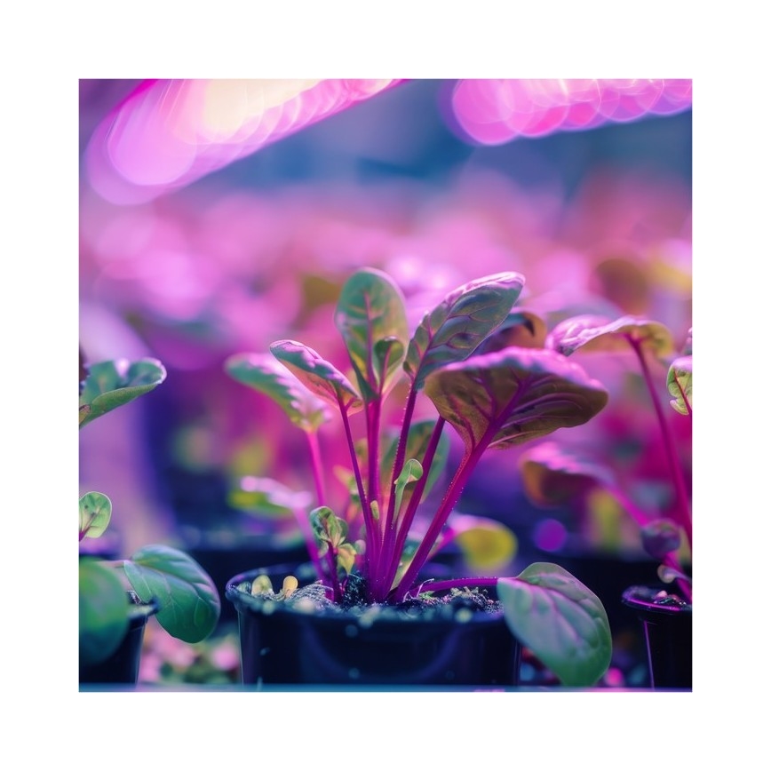 Ευέλικτο επιτραπέζιο φωτιστικό με κλιπ για καλλιέργεια φυτών PLANTY 1xE27/30W/230V λευκό