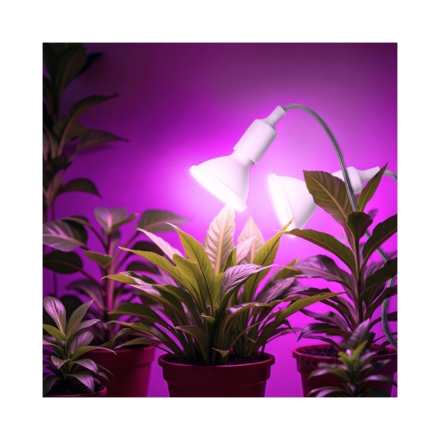 Ευέλικτο επιτραπέζιο φωτιστικό με κλιπ για καλλιέργεια φυτών PLANTY 2xE27/30W/230V λευκό