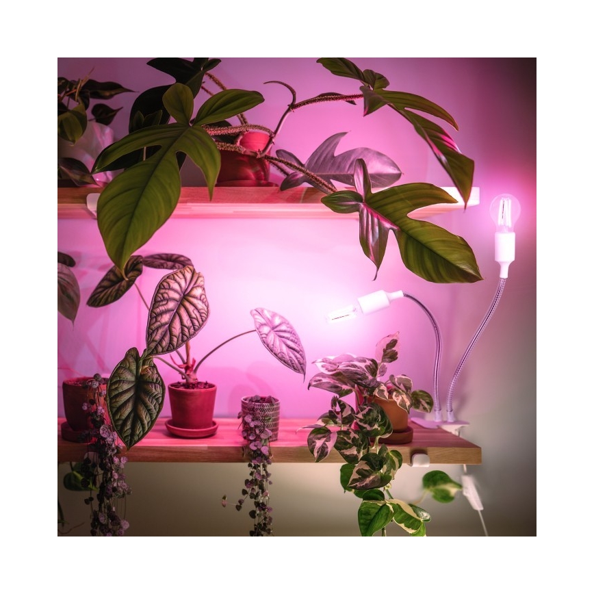 Ευέλικτο επιτραπέζιο φωτιστικό με κλιπ για καλλιέργεια φυτών PLANTY 2xE27/30W/230V λευκό