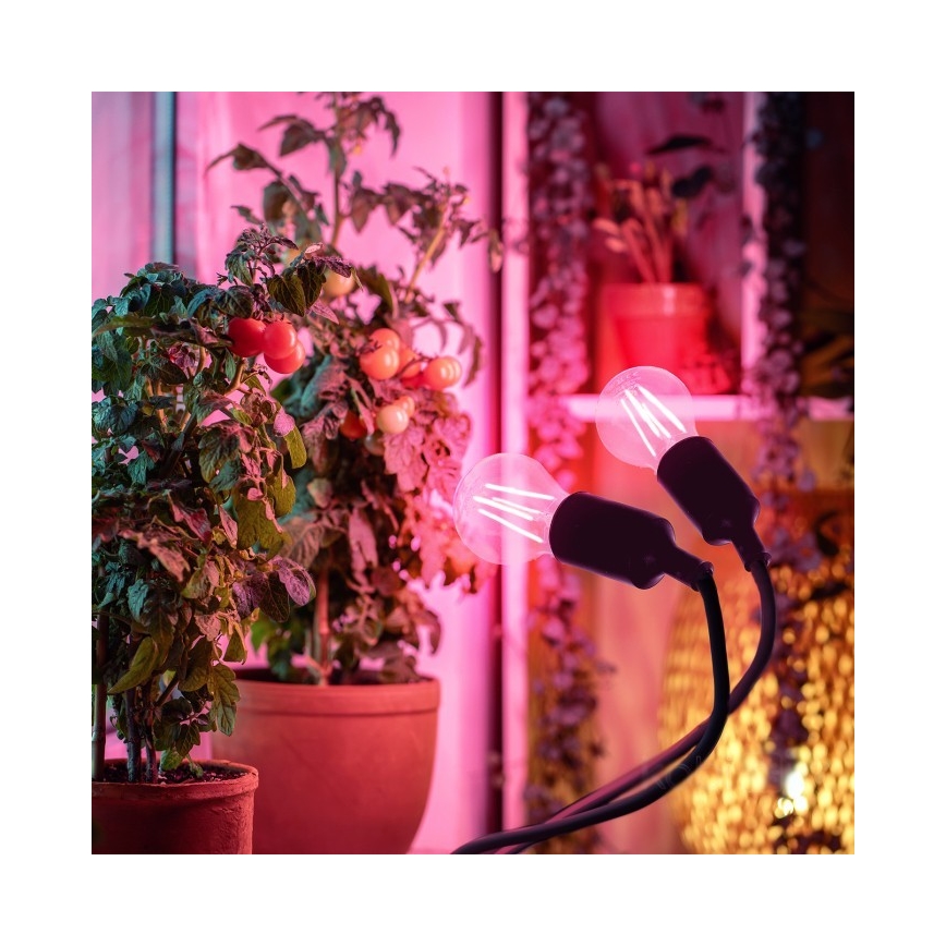 Ευέλικτο επιτραπέζιο φωτιστικό με κλιπ για καλλιέργεια φυτών PLANTY 2xE27/30W/230V μαύρο