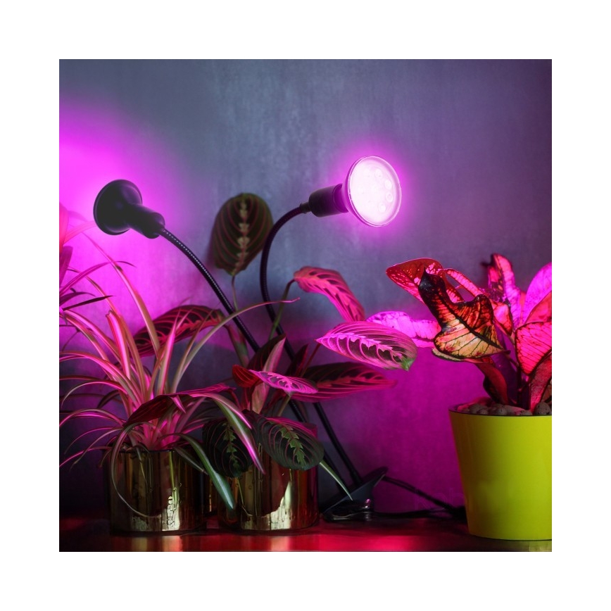 Ευέλικτο επιτραπέζιο φωτιστικό με κλιπ για καλλιέργεια φυτών PLANTY 2xE27/30W/230V μαύρο