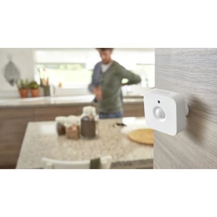 Αισθητήρας κίνησης Philips Hue 2xAAA IP42