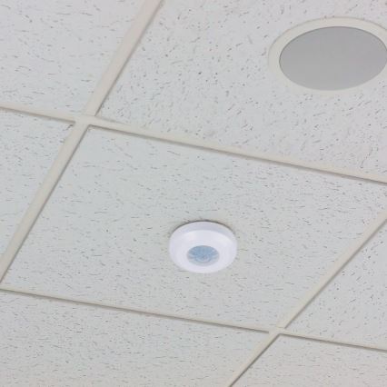 Αισθητήρας κίνησης υπέρυθρων 360° 200W/230V λευκό