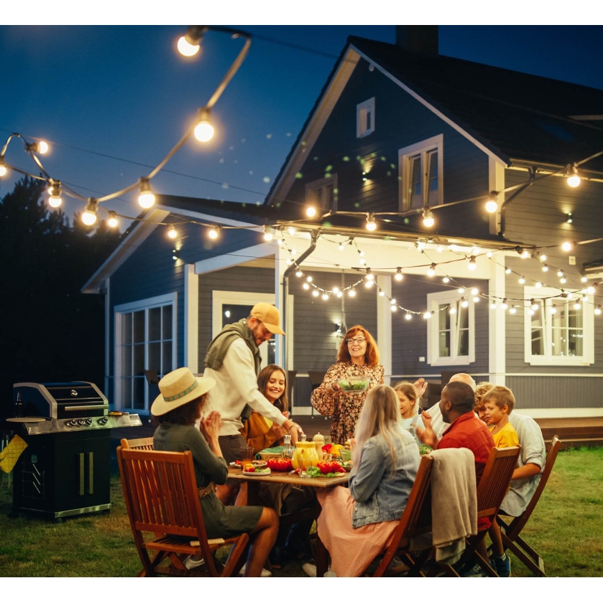 Διακοσμητικά λαμπάκια εξωτερικού χώρου MIMOSA 10xE27/1,3W/230V IP44 10 m