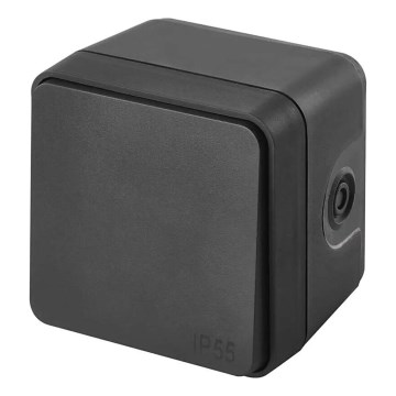 Διακόπτης σπιτιού διακόπτης-on 250V/10A IP55