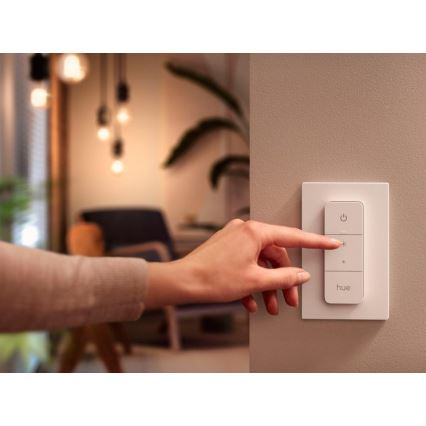 Διακόπτης ρύθμισης φωτεινότητας Philips Hue V2 1xCR2032