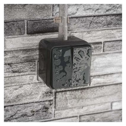 Διακόπτης τοίχου 2 πλήκτρων, εναλλασσόμενος, αρ. 6+6, IP55, ανθρακί