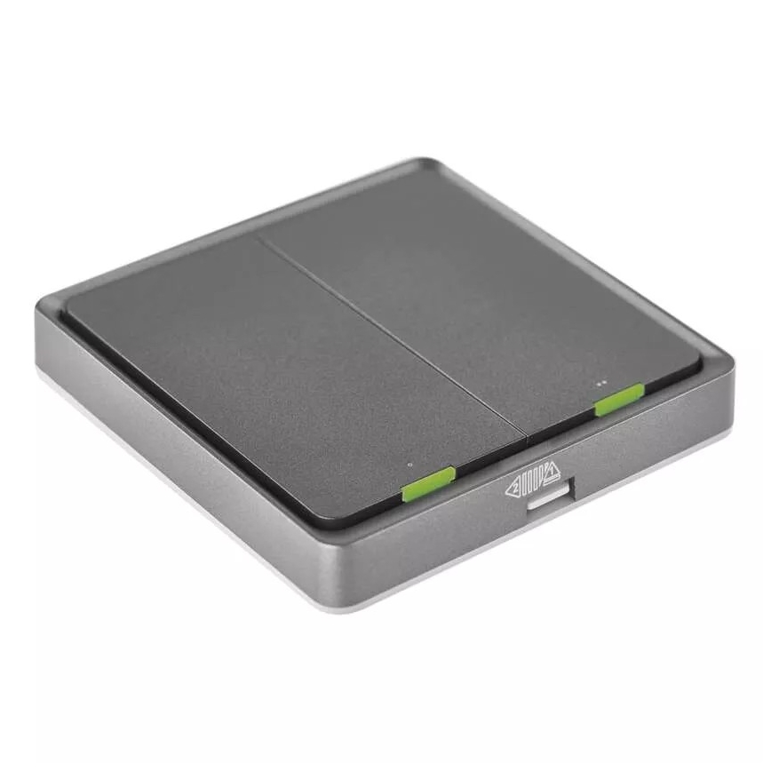 Διακόπτης διπλός GoSmart 1xCR2430 Tuya μαύρο