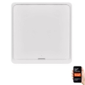 Διακόπτης μονός GoSmart 1xCR2430 Tuya λευκό