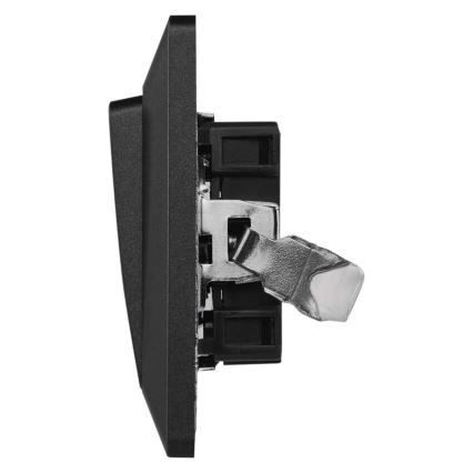 Διακόπτης σπιτιού διακόπτης-on 250V/10A ανθρακί