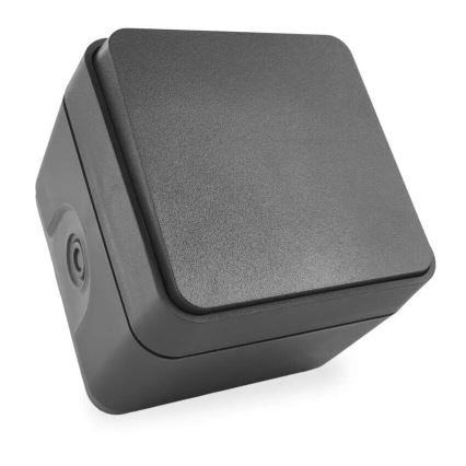 Διακόπτης σπιτιού εναλλασσόμενος 250V/10A IP55