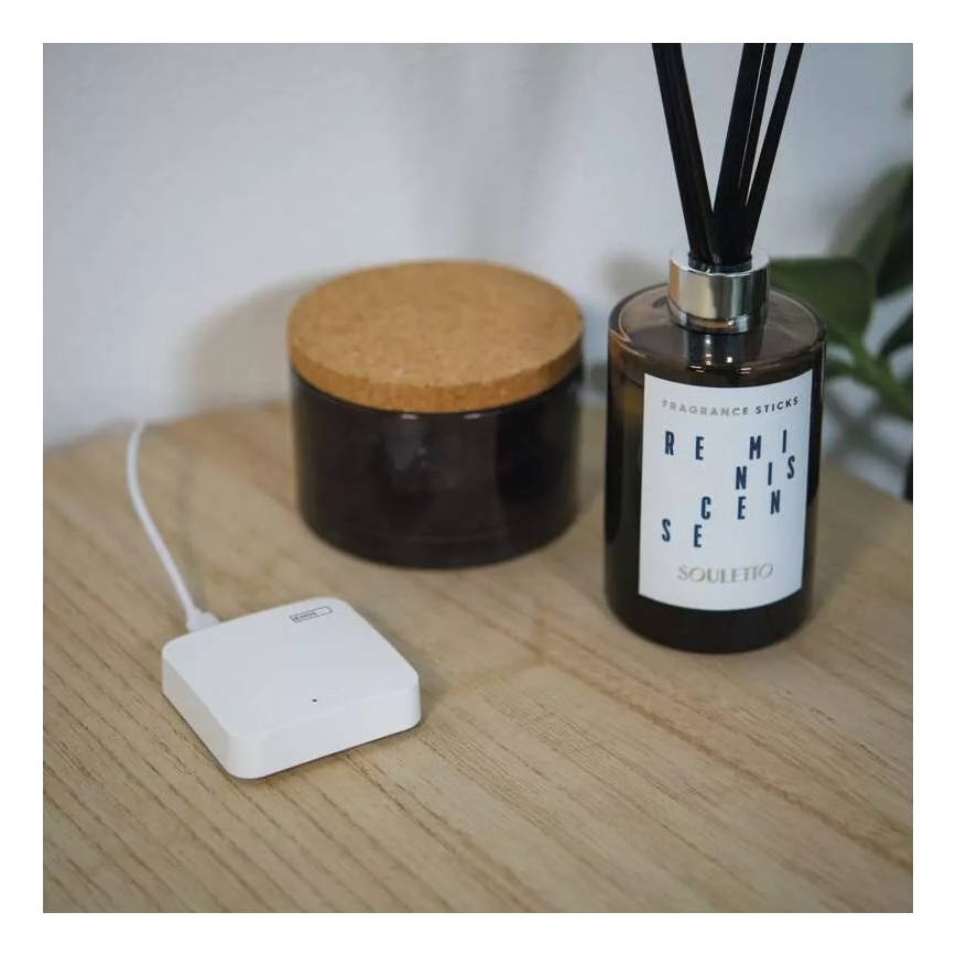 Έξυπνη πύλη GoSmart ZigBee 3.0 5V Wi-Fi