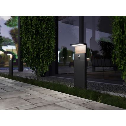 Εξωτερική λάμπα LED με αισθητήρα NATURA LED/12W/230V 4000K IP54 καφέ/ανθρακί