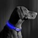 Επαναφορτιζόμενο κολάρο σκύλου LED 35-43 cm 1xCR2032/5V/40 mAh μπλε