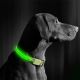 Επαναφορτιζόμενο κολάρο σκύλου LED 35-43 cm 1xCR2032/5V/40 mAh πράσινο