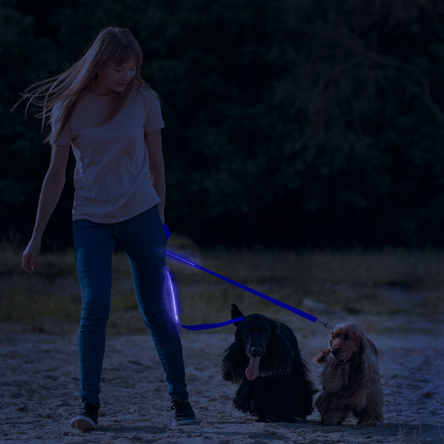 Επαναφορτιζόμενο λουρί LED 120 cm 2xCR2032/5V/40 mAh μπλε