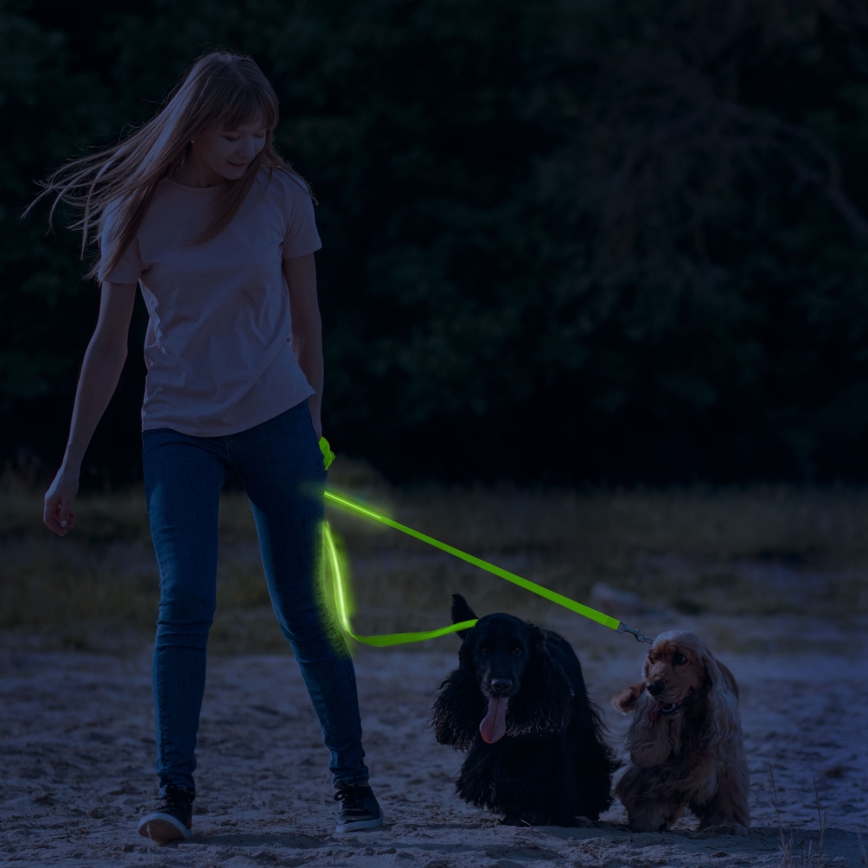Επαναφορτιζόμενο λουρί LED 120 cm 2xCR2032/5V/40 mAh πράσινο