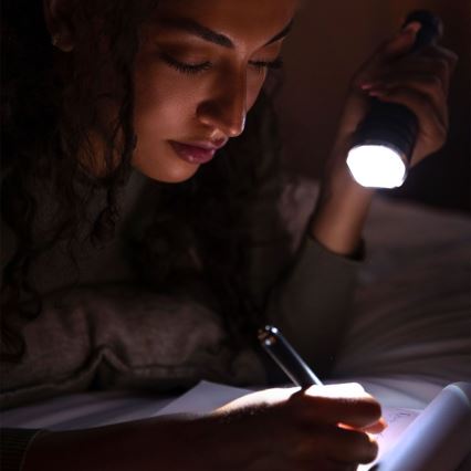 Επαναφορτιζόμενος φακός LED USB LED/10W/5V IP54 1000 lm