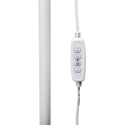 Επιδαπέδια λάμπα dimming LED SIGNUS LED/10W/230V 3000/4500/6500K λευκό
