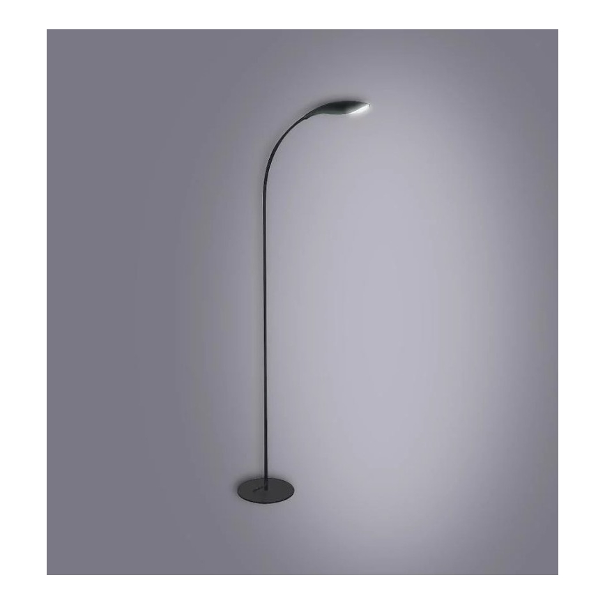 Επιδαπέδια λάμπα LED SWAN LED/6,5W/230V μαύρο