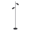 Επιδαπέδια λάμπα ΛΟΥΛΟΥΔΙΑ 2xGU10/8W/230V μαύρο
