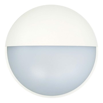 Επιτοίχιο φωτιστικό εξωτερικού χώρου LED LED/14W/230V IP54 λευκό