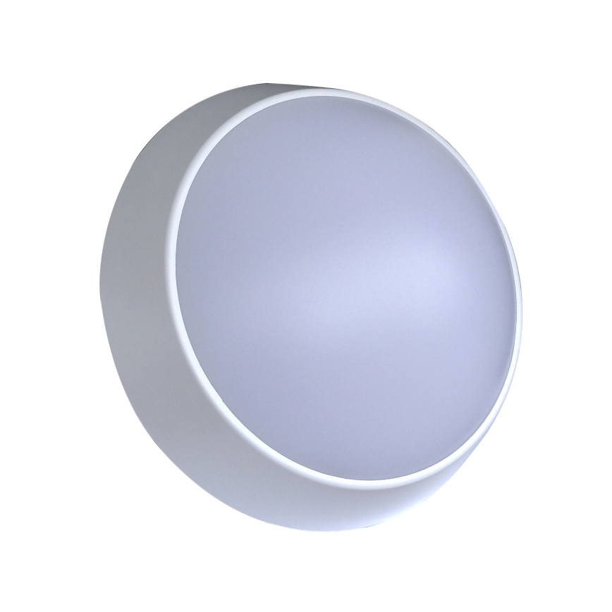 Επιτοίχιο φωτιστικό εξωτερικού χώρου LED LED/15W/230V 4000K IP65